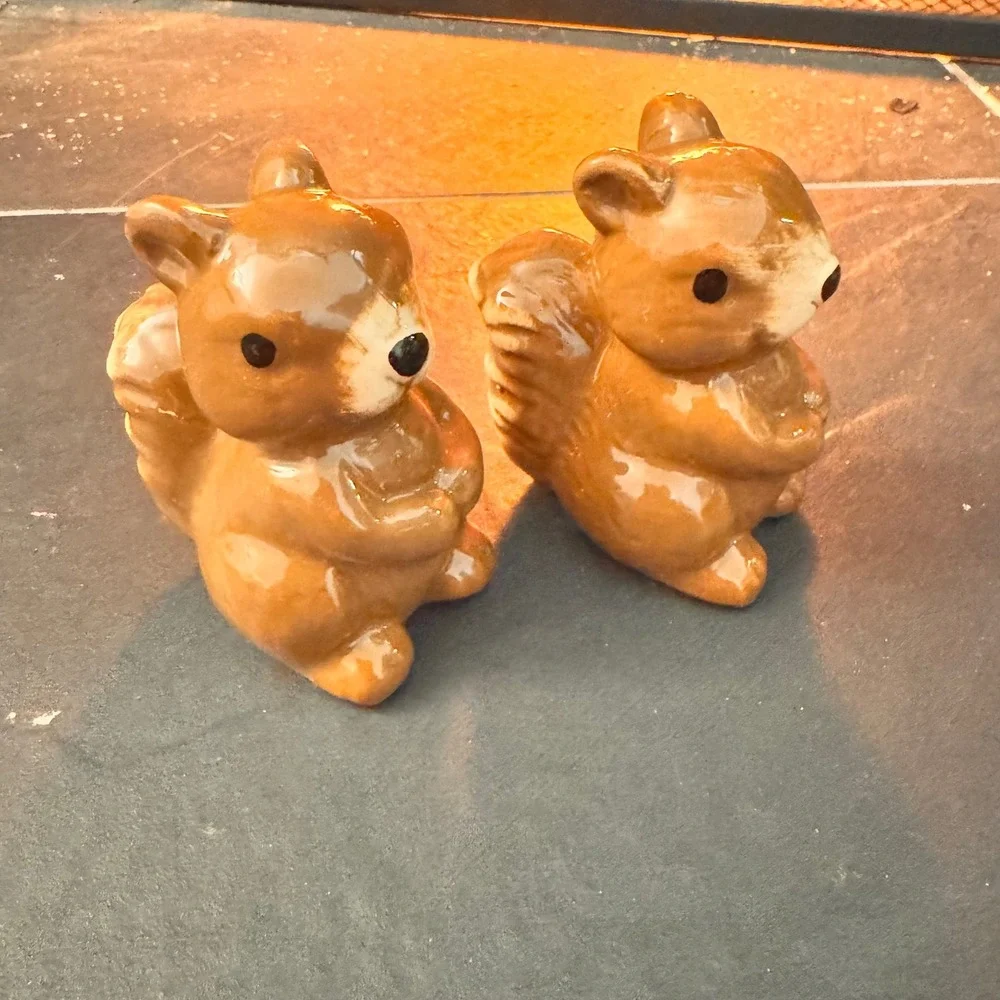 Cute Ceramic Squirrel Salt and Pepper‎ Shaker Set Brown Kitchen Decor